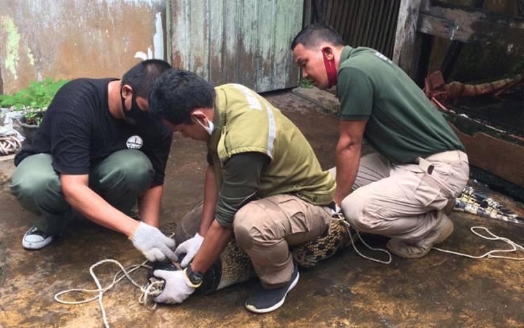 Korban Serangan Buaya di Pelangsian Minta Bantuan Pengobatan ke Pemkab Kotim