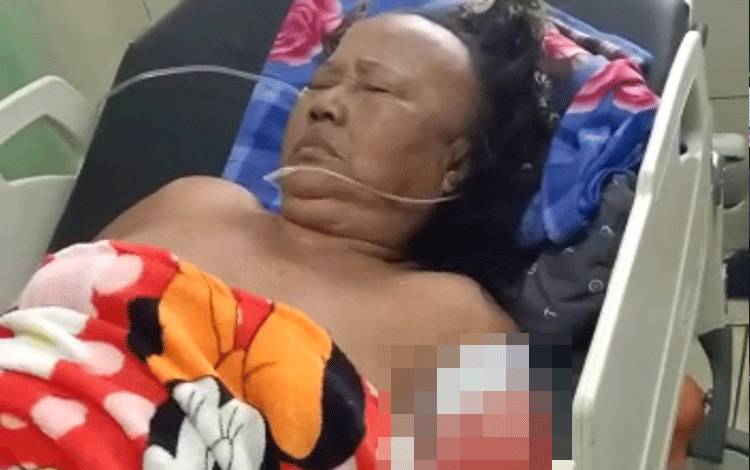 Selang Beberapa Hari 2 Korban Serangan Buaya, DPRD Kotim Ingatkan Pihak Terkait