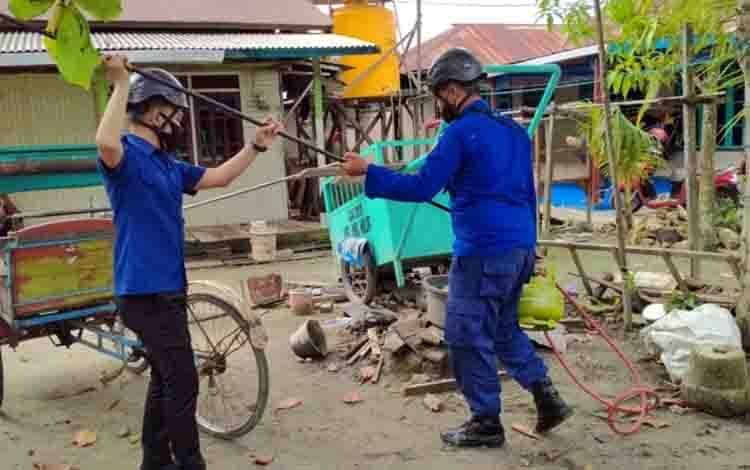 Petugas Damkar Evakuasi Sarang Lebah di Permukiman