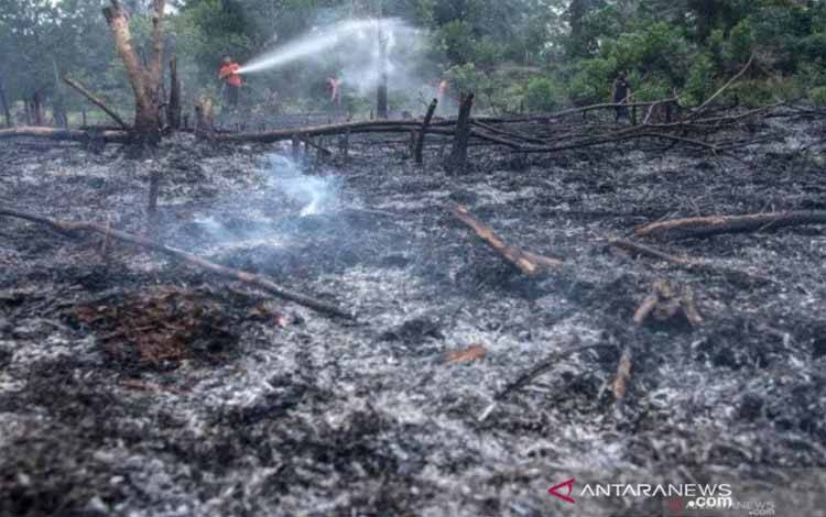 Direktur PT DSI Ditahan karena Kasus Karhutla