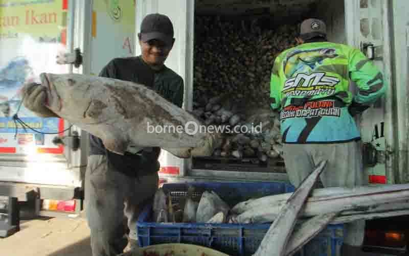KKP: Aplikasi Sihandal Turut Tingkatkan PNBP