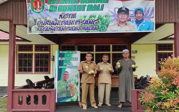 Tidak Hanya Penghasil Pisang dan Durian, Desa Buntut Bali Katingan Juga Penghasil Buah Ini...