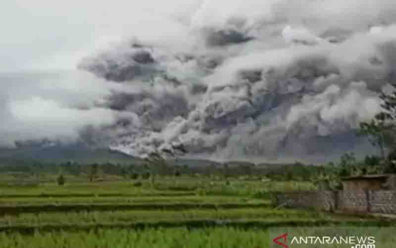Gunung Semeru erupsi hingga meluncurkan awan panas guguran sejauh empat kilometer pada Sabtu (16/1/2021), pukul 17.24 WIB. (foto : ANTARA/HO-Istimewa)