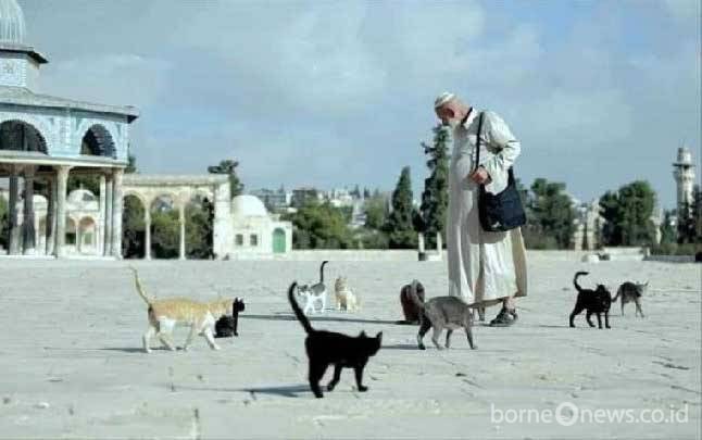 Pria Berjuluk Bapak Kucing dari Masjid Al-Aqsa Wafat Akibat Covid-19