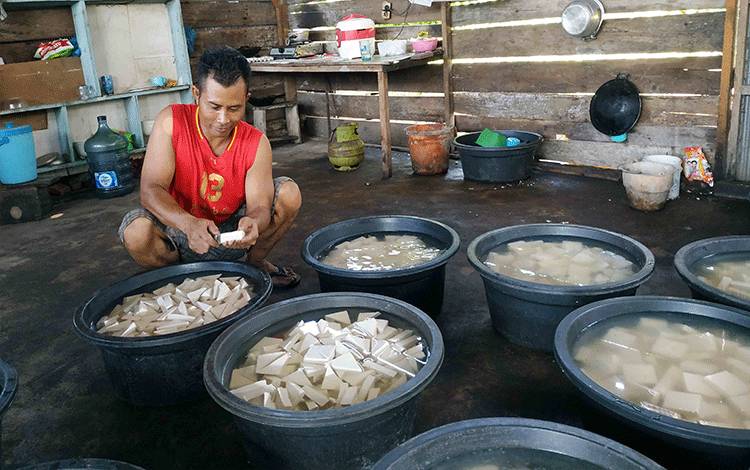 Pengrajin Tahu di Kuala Pembuang Keluhkan Kenaikan Harga Kedelai