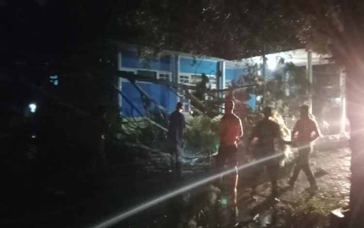 Anggota BPBD Kobar, bersama Tagana menyingkirkan pohon yang tumbang di halaman Kantor PWI, Senin 25 Januari 2021 pukul 18.00 WIB