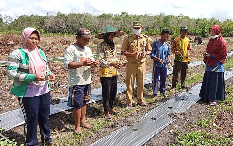 Camat Pematang Karau: Pemdes Susun RAPBDes untuk Pemulihan Ekonomi