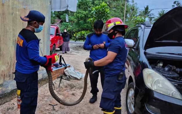 Damkar Kobar Evakuasi King Cobra dari Dalam Mesin Mobil