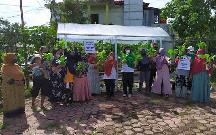 Kadis DKP Kobar Kris Budi Astuti (tengah) saat panen sawi perdana bersama ibu - ibu Rt 14 Kelurahan Raja