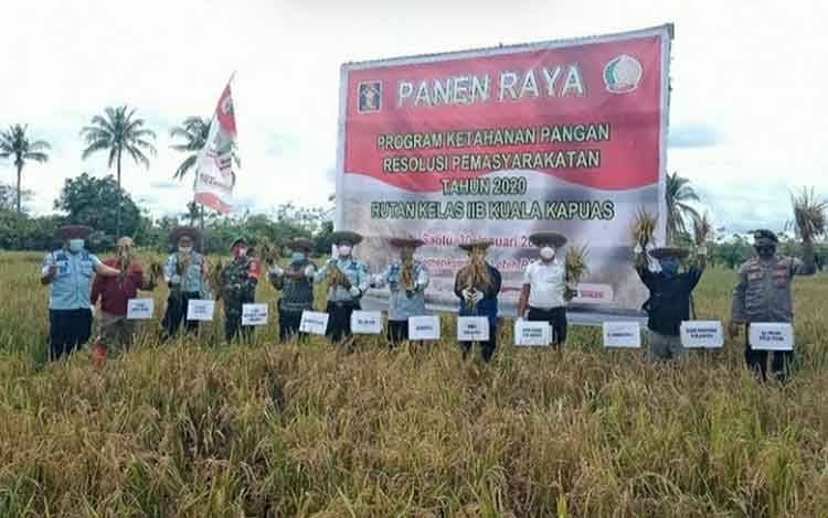 Rutan Kuala Kapuas Panen Padi IR 64 Program Ketahanan Pangan Resolusi Pemasyarakatan