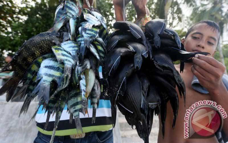 Menteri KKP Siapkan Ekosistem Industri Lumbung Ikan Nasional