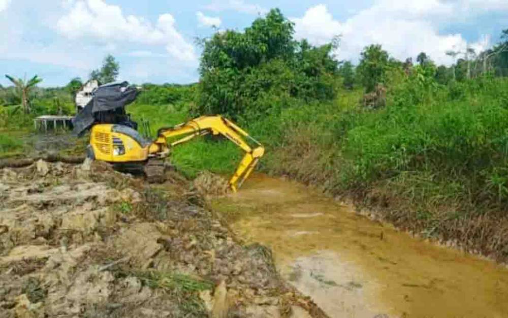 Program Optimalisasi Lahan Rawa Berikan Harapan Masyarakat untuk Bertani