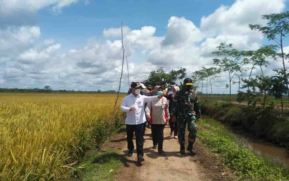 Gubernur Kalteng Mengaku Siap Paling Depan Amankan Cadangan Pangan Nasional