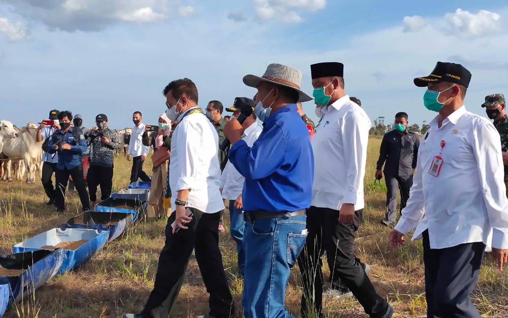 Kunjungan Menteri Pertanian Diharapkan Pacu Semangat Wujudkan Sukamara Jadi Sentra Penghasil Daging Sapi Terbesar