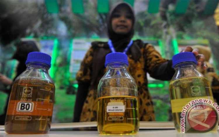 Industri Sawit Mampu Jadi Pelopor Agrobisnis Nasional
