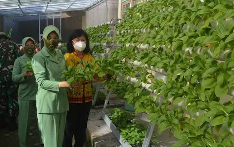 Persit Kodim 1014 Pangkalan Bun Dukung Program Ketahanan Pangan