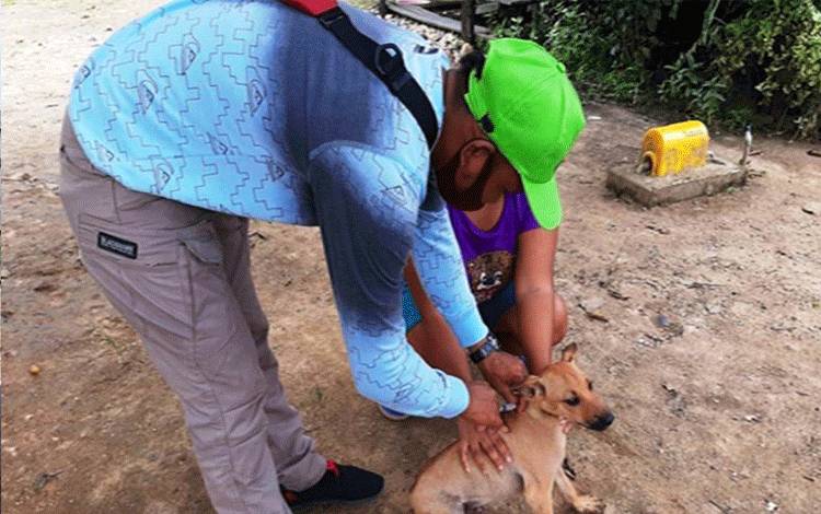 Vaksinasi Rabies Hewan Dilakukan di 8 Kecamatan di Gunung Mas