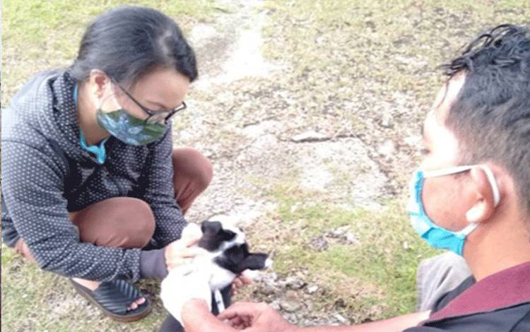 Vaksinasi Rabies Akan Diprioritaskan Bagi 5 Kecamatan di Gunung Mas di 2021