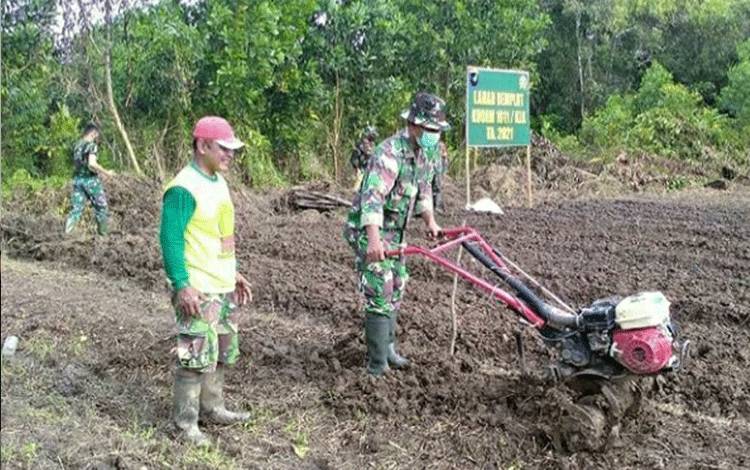 Kodim 1011 Kapuas Giatkan Program Tanaman Hortikultura