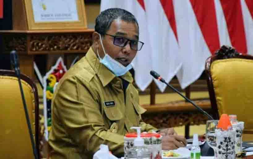 Program PEN Diharapkan Mampu Bangkitkan Kembali Ekonomi Daerah