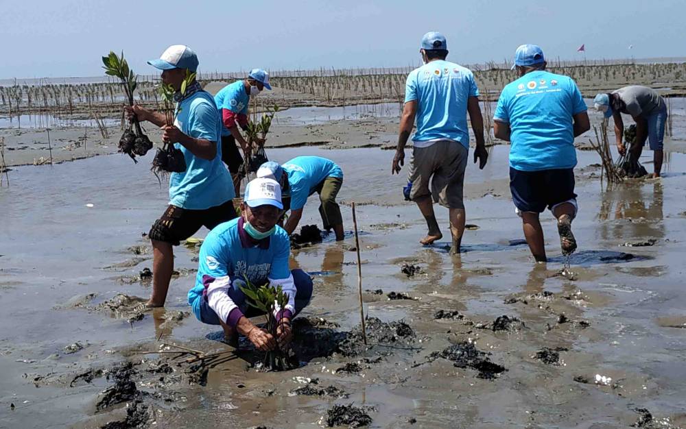 Kepala Dinas Lingkungan Hidup Seruyan Priyo Widagdo melakukan penanaman mangrove