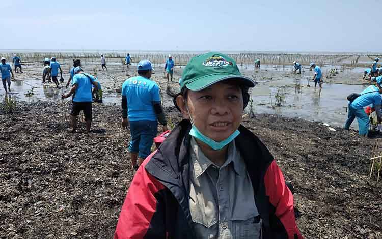 Balai TNTP Dukung Pemulihan Ekosistem Mangrove di Pesisir Seruyan