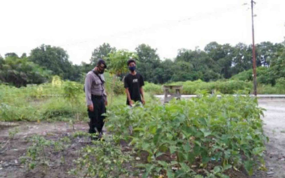 Personel Polsek Timpah Sambangi Kebun Warga Motivasi Kembangkan Ketahanan Pangan