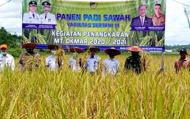 Dinas Pertanian Barito Utara Panen Padi Varietas Sertani 14