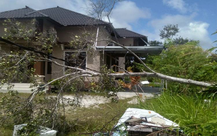 Cuaca Ekstrem, Warga Gunung Mas Diminta Waspada Pohon Tumbang