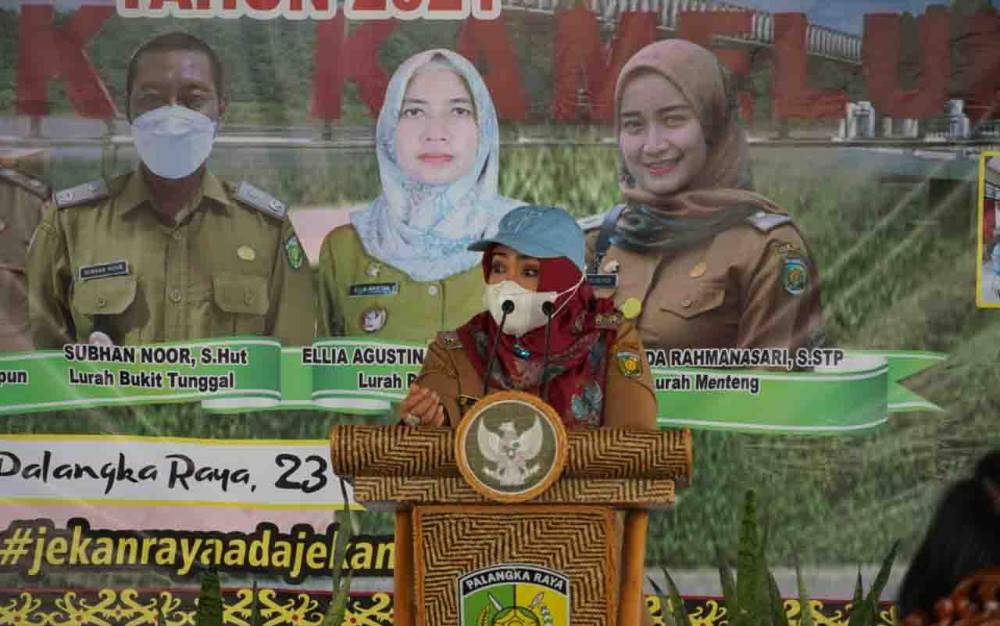 Pemanfaatan Lahan Jadi Perkebunan Mikro Mampu Cegah Karhutla
