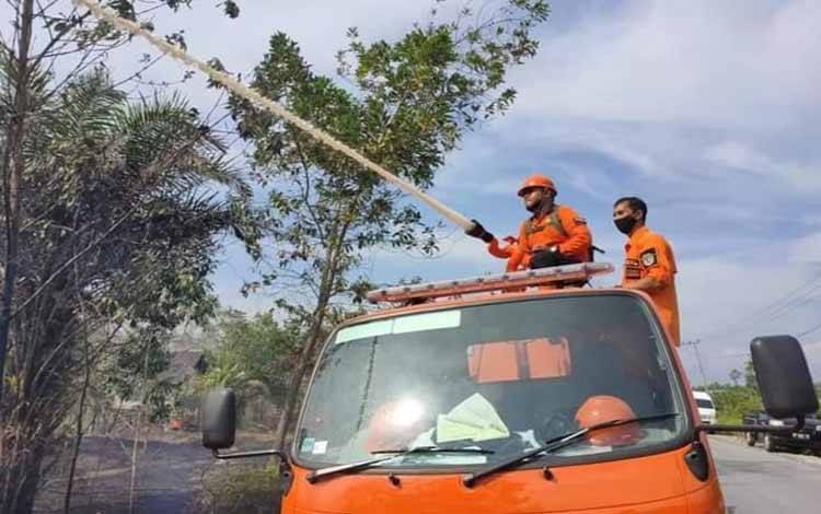 Cuaca Terik di Katingan Sebabkan Kebakaran Lahan
