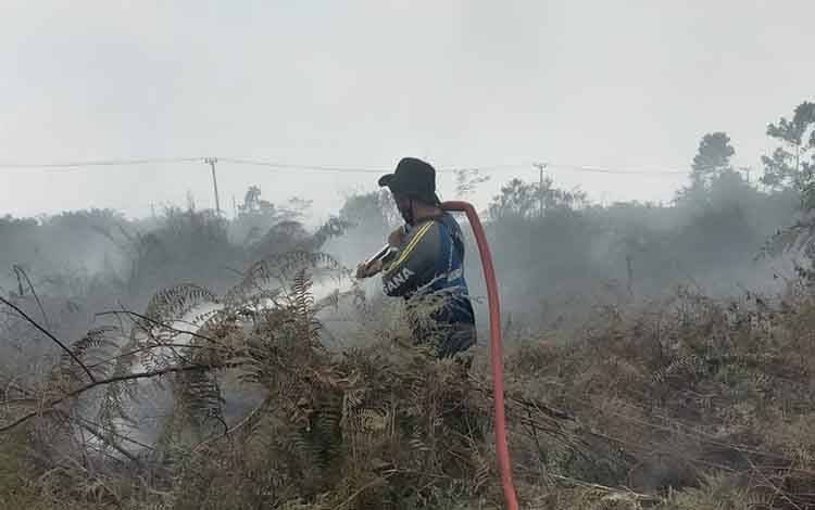 60 Hektare Lahan Terbakar, Tim Penanganan Bakal Bangun Sekat dan Embung di Lokasi Karhutla