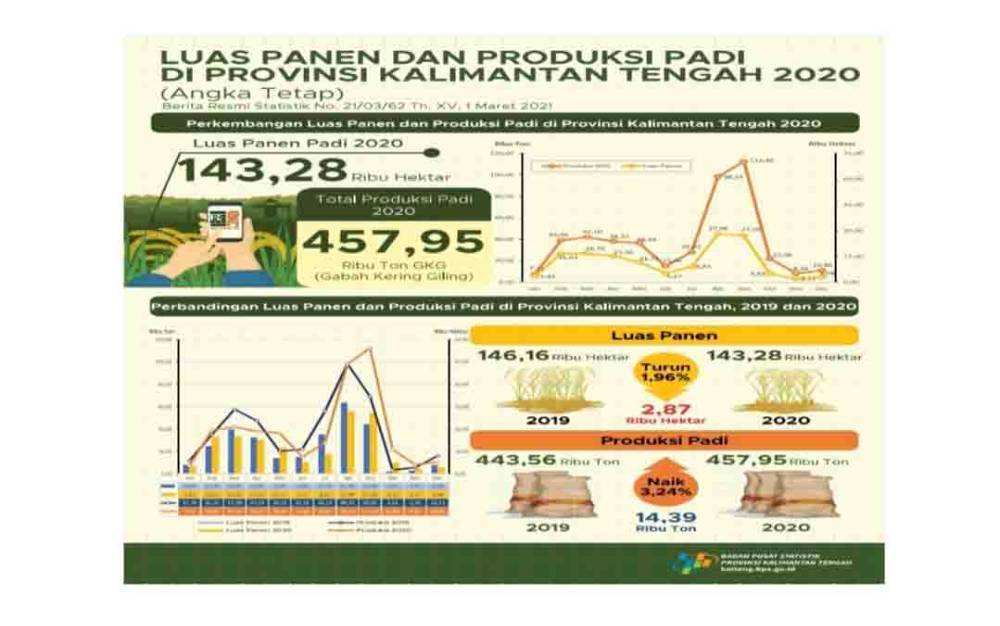 Luas Panen Padi Kalteng Tahun 2020 Menurun Dibanding 2019, Tapi Produksi Meningkat