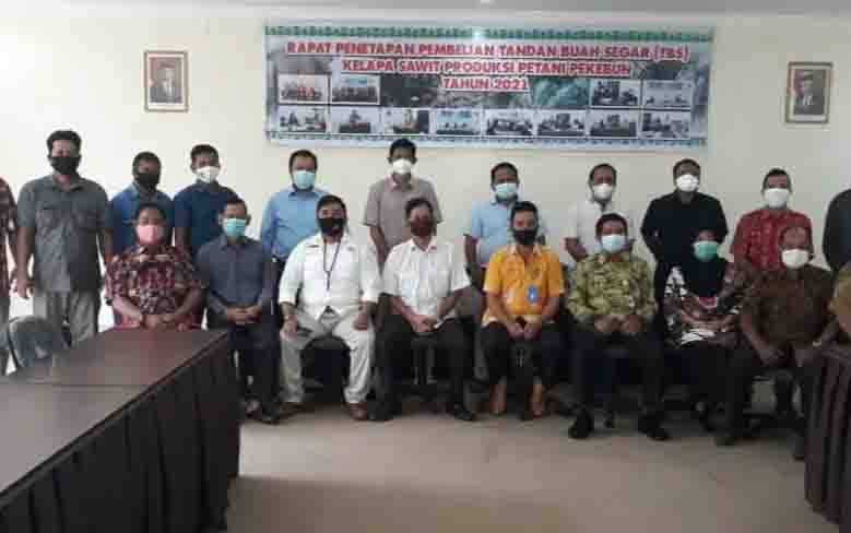 Harga TBS Kelapa Sawit di Kalteng Februari 2021 Mengalami Penurunan