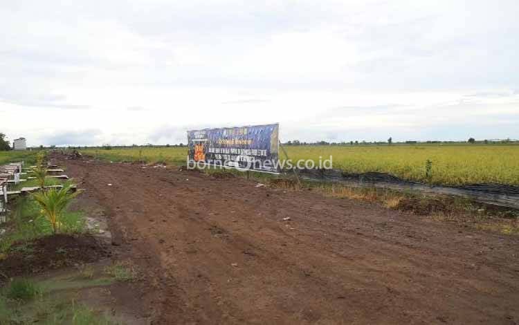 Anggota DPR: Realisasi Anggaran Food Estate Jangan Tumpang Tindih
