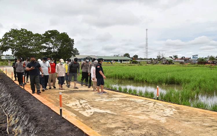 Gubernur Kalteng: 21.000 Ha Lahan Desa Bentuk Jaya Siap Digarap
