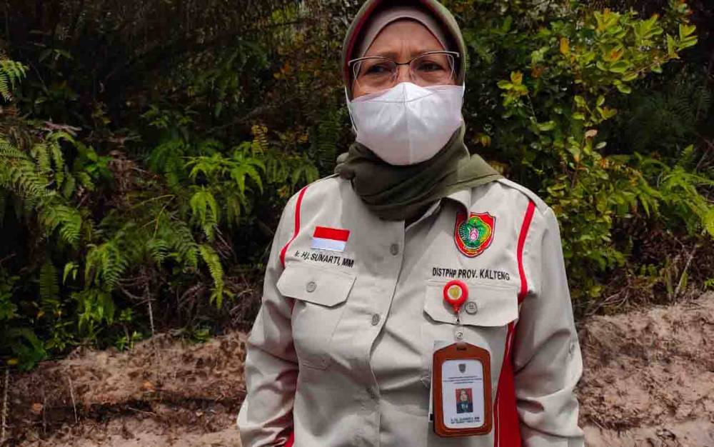 Singkong Dinilai Sebagai Alternatif Pangan Potensial