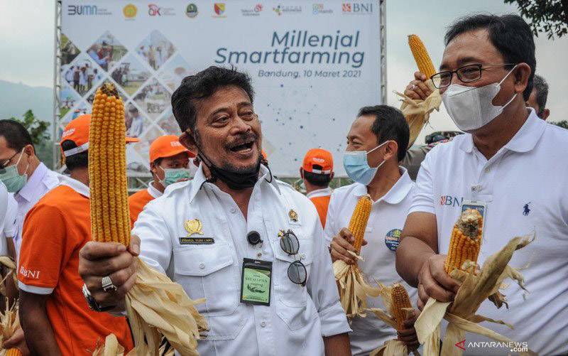 Pemerintah Optimistis Target PDB Sektor Pertanian 2021 Tercapai