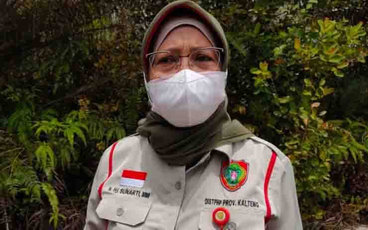 Tidak Hanya untuk Konsumsi, Food Estate Singkong akan Dijadikan Berbagai Macam Produk