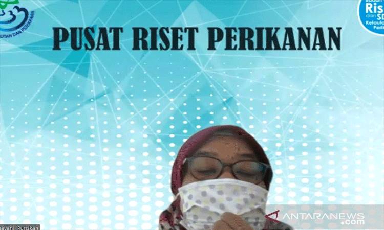 KKP: Perairan Arafura dan Timor Penting untuk Ekologi dan Ekonomi