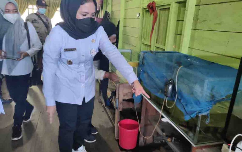 Wakil Bupati Seruyan Kunjungi Pembudidaya Ikan Peyang