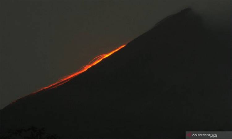 Gunung Merapi 10 Kali Meluncurkan Guguran Lava Pijar