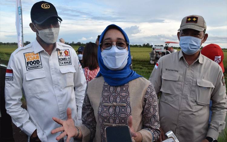 DPR: Food Estate di Kalteng Jadi Salah Satu PSN 2020-2024