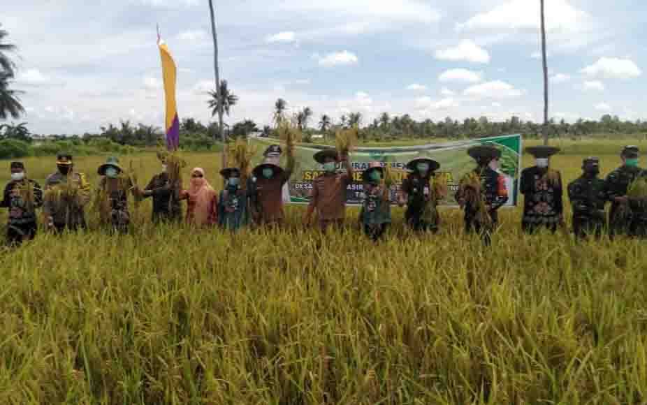 DKPP Sukamara Akan Uji Coba Sistem Tanam Padi 3 Kali Setahun