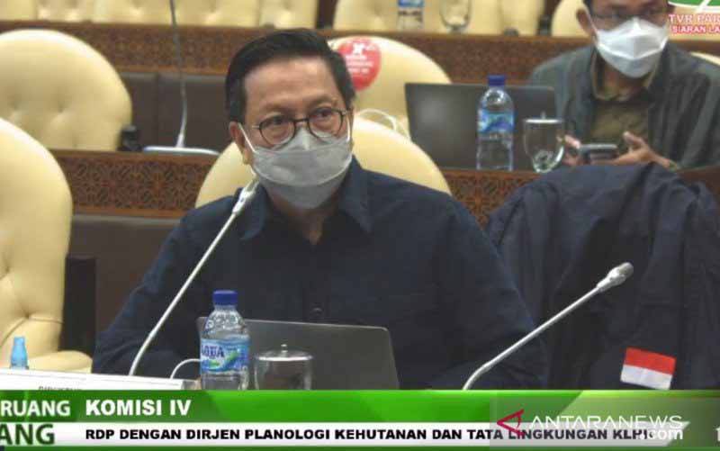 KLHK: Sanksi Pelanggaran Aturan Kehutanan Mulai dari Pemblokiran Rekening hingga Penahanan