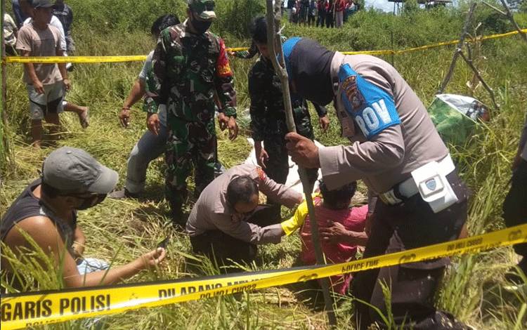 Diduga Diserang Lebah, IRT Warga Telok Katingan Ini Tewas