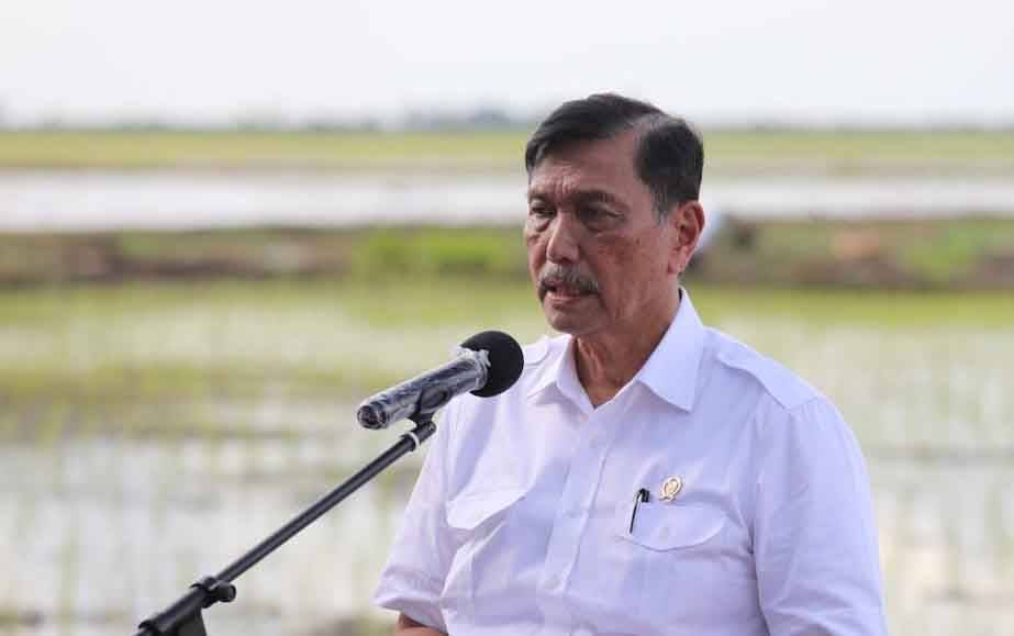 Menko Luhut: Program Food Estate Kalteng Sudah Baik
