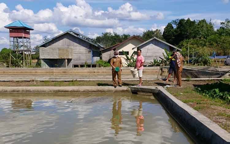 Ini Harga Benih Ikan di BBI Kuala Kurun dan Tewah