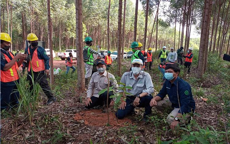 Sambut Hari Bumi 2021, PT KTH Bersama OF-UK dan Yayorin Tanam 1.600 Pohon Buah di Areal Koridor Satwa