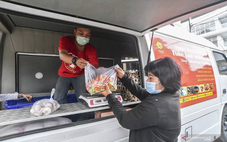 Harga Cabai di Kobar Naik Drastis